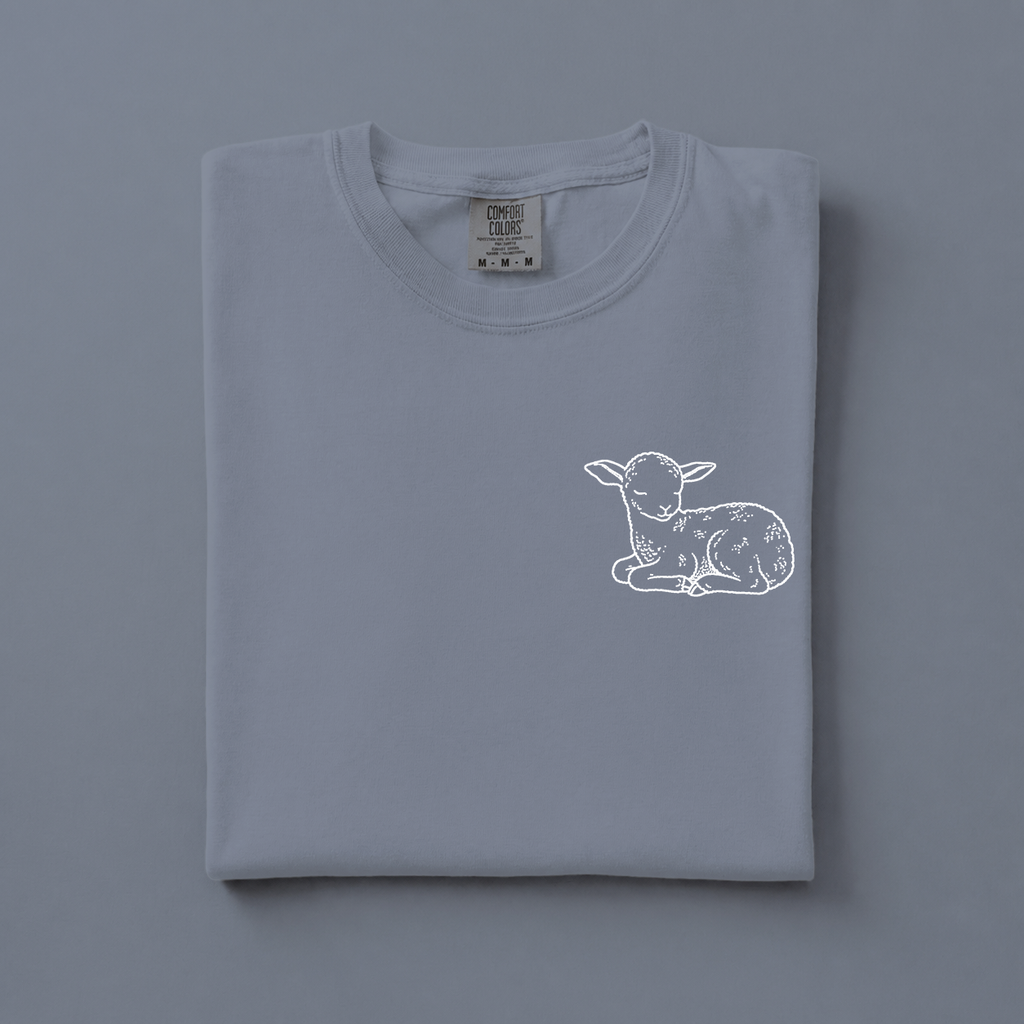 Lamb of God - Christian T-Shirt