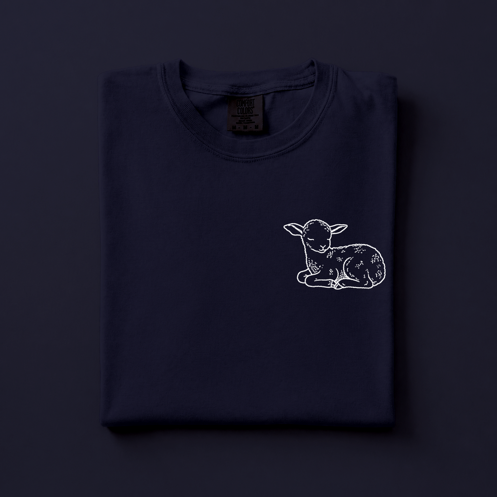 Lamb of God - Christian T-Shirt