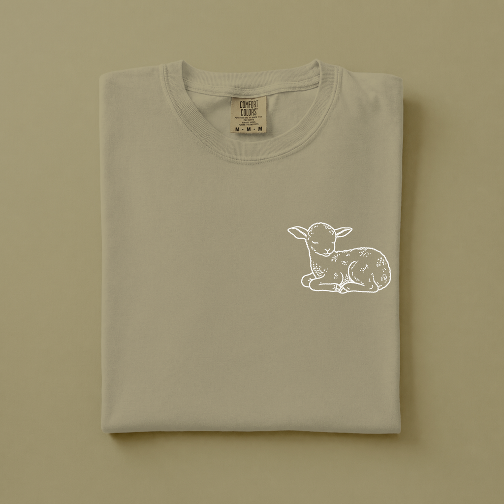 Lamb of God - Christian T-Shirt