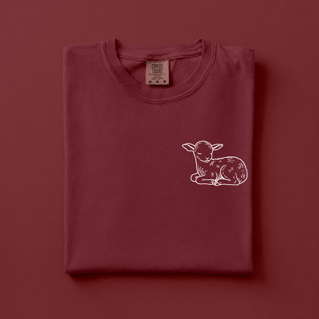 Lamb of God - Christian T-Shirt