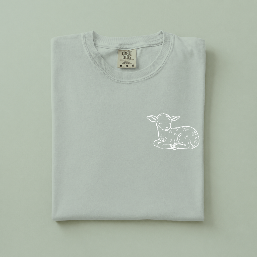Lamb of God - Christian T-Shirt